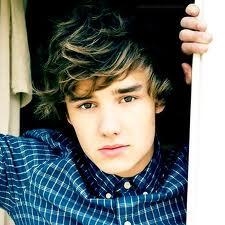 mhaltaf08's tweet photo. #1DPicsLiam http://t.co/caFe7JyIe0
