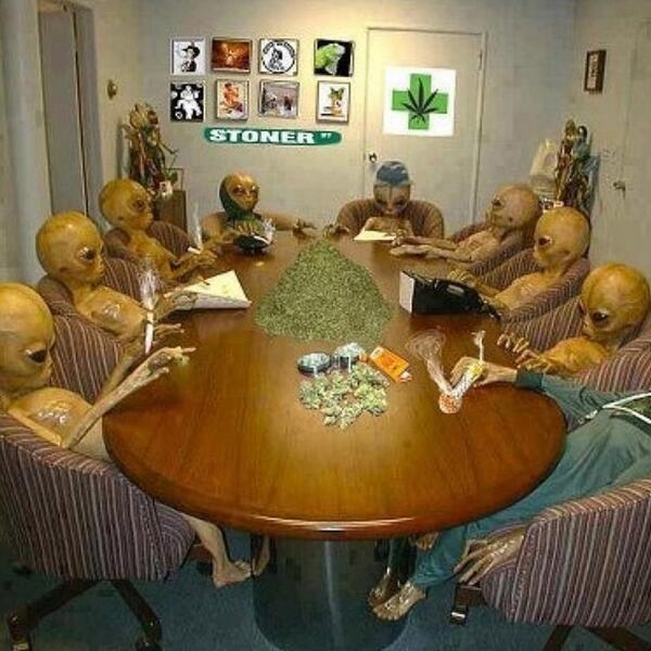 Your Higher Self tweet media