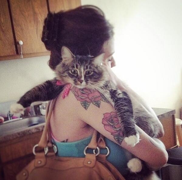 TessTaylor1's tweet photo. @LoveMeowdotcom don't leave mom!!!! http://t.co/6FRmlIh11t