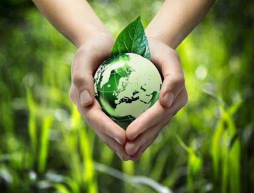 AdobeDocCloud's tweet photo. Our #GreenMeter helps to calculate 3 natural resources saved when using digital contracts. What are they? http://t.co/7PnBF9cJ4m