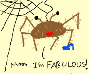 realCampLarry's tweet photo. I hate homophobic arseholes i hope you all get bitten by a gay spider! #Tarraaah http://t.co/mU20i1mPTj