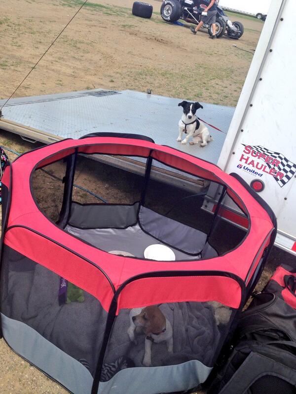 ChevyClauson's tweet photo. This is the life! Stewart's in the play pen and I'm free!! http://t.co/3WKFLBEm64