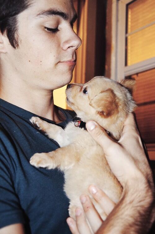 dylpicklc's tweet photo. I love my puppy 🐩 http://t.co/9HROUUrK7J
