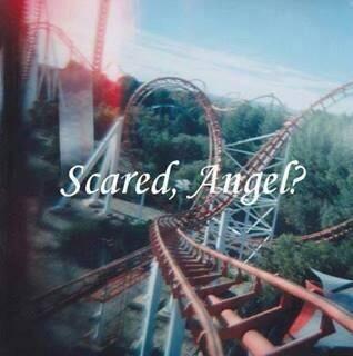 mil_mariposas's tweet image. 