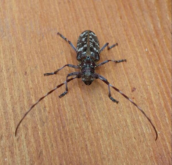 Stymper's tweet image. Who's this guy?