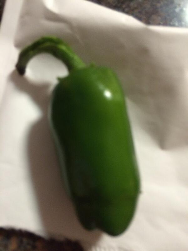 First garden product #jalapeno