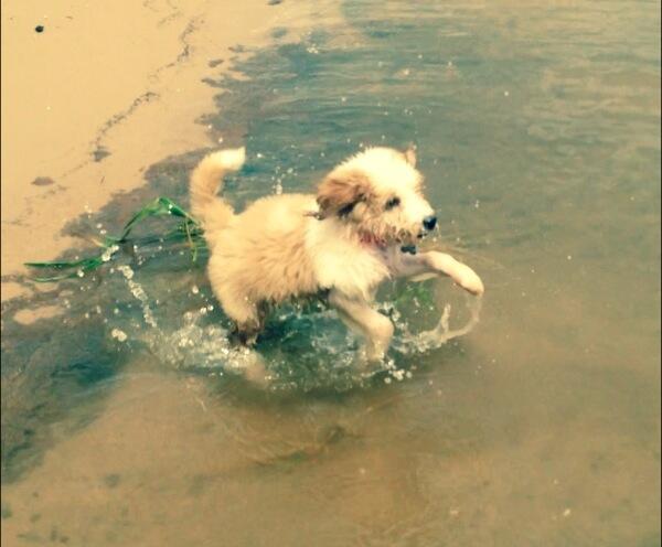 willcmcc's tweet image. #WaterIsntThatScary