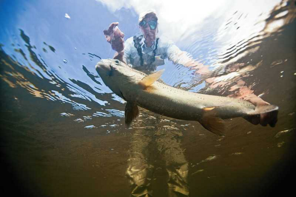 Fish will come and go, but the memories will last forever.