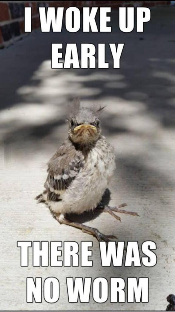 TweetTheAudio tweet picture