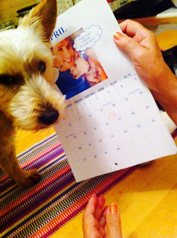 AndrewChad1984's tweet photo. I think Albert loves the calendar! Feelin so much love tonight! Emotional day tomorrow :( http://t.co/nnG4tE07hU