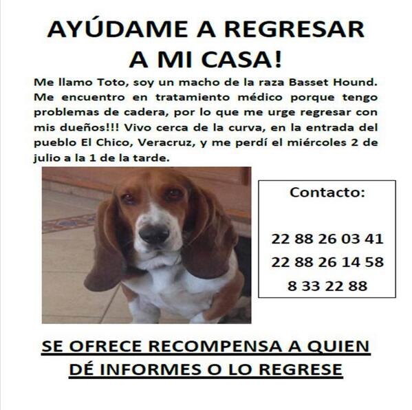 camposaaron tweet picture