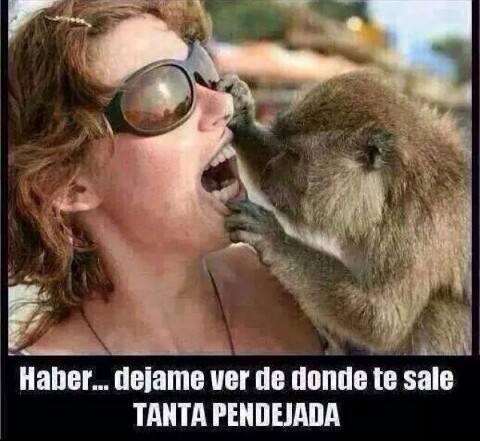 DianiuxReyes's tweet photo. @Ron_elmalo http://t.co/IhBxb2ypUt