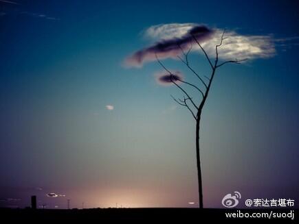 KhenpoSodargyeC's tweet photo. 现在，人们眼睛看到的形色太多了，耳朵听到的声音太多了，心里追求的欲望太多了。我们应该在放松的状态中，让心安宁，休息一下。如此，你会找到你真正需要的东西。 http://t.co/AwmPJlA5cH