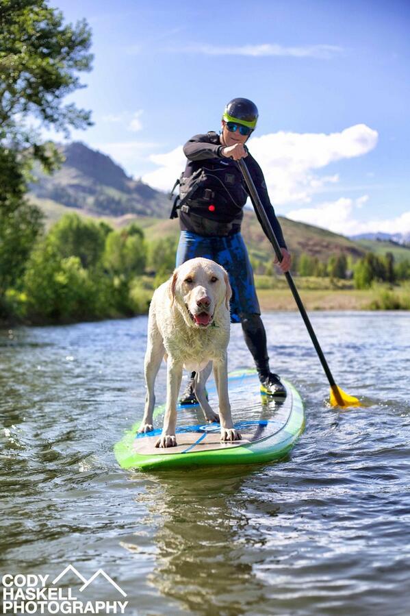 standuppaddletv's tweet image. #SUPpups r the cutest! Do u agree? Share ur photos: bit.ly/1r7y8Ju 
Pic via: Cody H. #supconnect #paddleboard