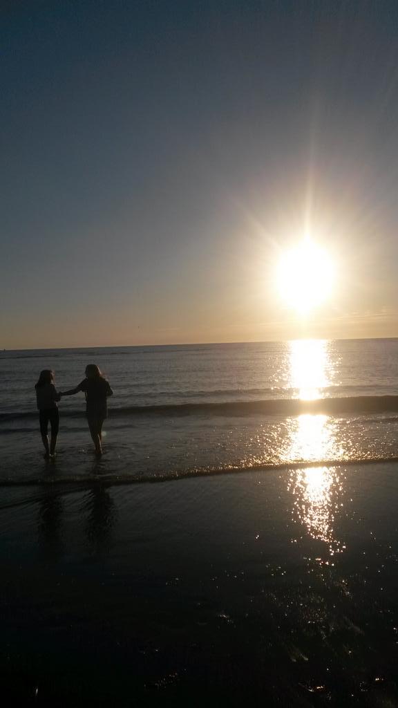 CJC Trips tweet media