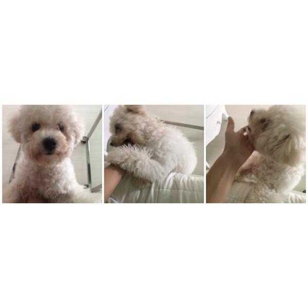 bernardokath's tweet image. Cutest alarm clock ever ❤️