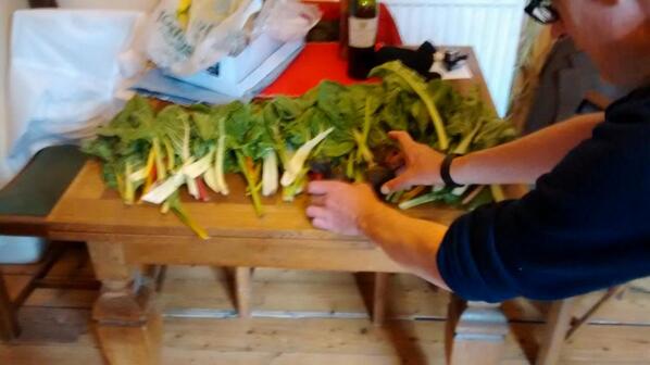 Robinakos's tweet image. Hey @antonnewcombe  coming to see you in Glasgow tomorrow. Was wondering if you need any Swiss Chard? I got loads.