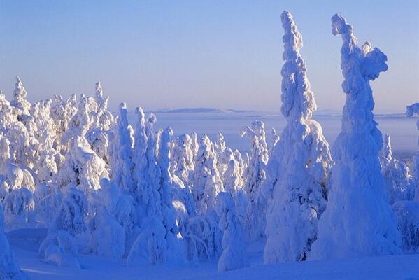 loveandfree_bot's tweet photo. 伝えたいことが、なかなか伝わらない。でも、きっとそれは、相手が悪いんじゃない。俺が相手に響くように伝えていないだけだ。本当に大切なことほど伝えるチャンスが少ない。そう。伝えるなら、今しかない。伝わるまで、伝えよう。何度でも。何度でも。 https://t.co/eB1B2v82Bl