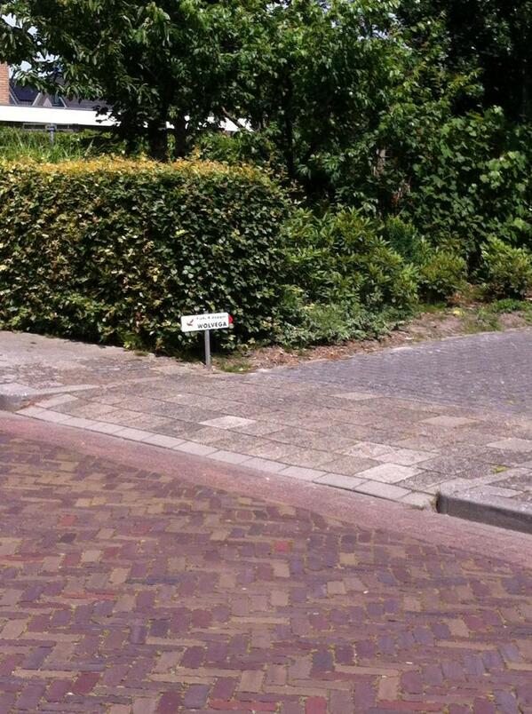 Fietsvierdaagse #Wolvega gelukkig fietste ze niet onze oprit op!!