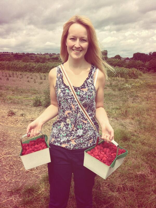 whitaker3000's tweet image. Well that was a nice morning #raspberrypicking #day64 #100happydays