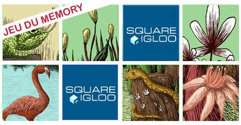 squareigloo's tweet image. Joue au jeu du memory avec « Amélie la presque-parfaite » !
goo.gl/baHPxX
#jeux #ebook #enfants