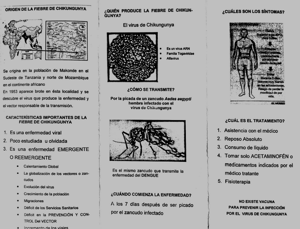 DSocialSAA's tweet photo. Lo que debes conocer de la Fiebre Chikungunya. En #Fotos información al respecto http://t.co/Uj3Gtbb8X5 http://t.co/YAiArIMawZ