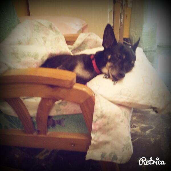 Valla unas siestas se pega mi negra