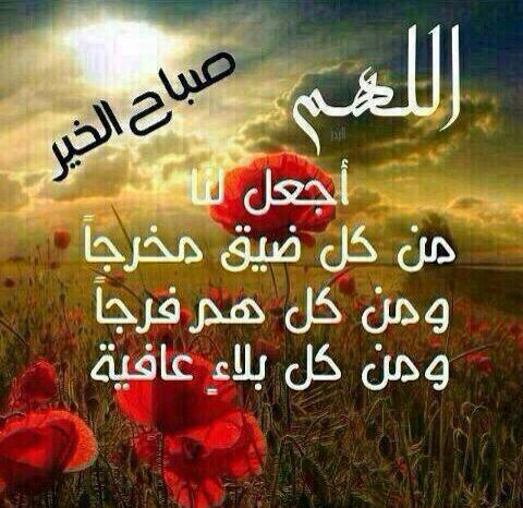 alaanqqqaa's tweet photo. @loin10 @MohamadAli777 @63alking @mssy700 @hadr555291 @ShSQ8 @aldawlah73 @nnmn317 @hadr40848269 @fatamaalzahra65 http://t.co/PFzPPecPna