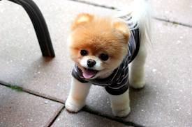 gabriel87407394's tweet photo. http://t.co/xt0FORD2xA