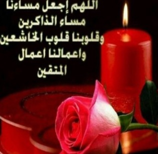 somehamad tweet picture