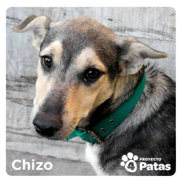 4_proyecto's tweet photo. Chizoo http://t.co/EYdKrsSFBA