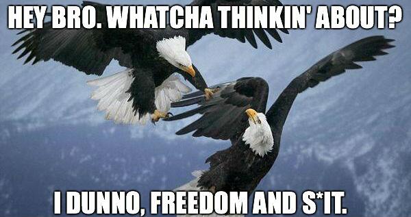 Funny Pics on Twitter: Funny Pics on Twitter: