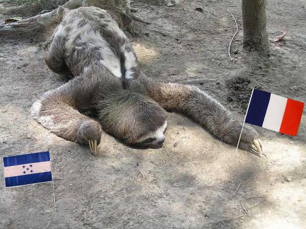 Ingesonbein's tweet photo. Pipo le paresseux a ENFIN rendu son verdict: la France va battre le Honduras ! #beINBRESIL #CDM2014 #FRA #lexpressao http://t.co/gyJfPk9pnr