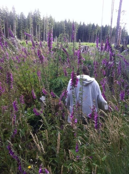 unicorns4every1's tweet photo. Happiness is an adventure http://t.co/cfjkLh9quz