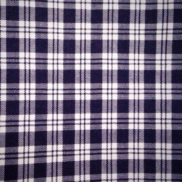 plaidform's tweet image. I plaid allegiance…