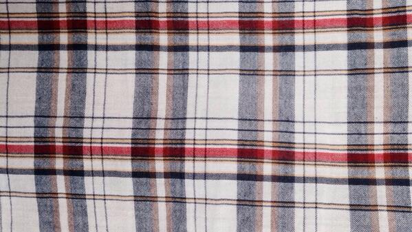 plaidform's tweet image. I plaid allegiance…