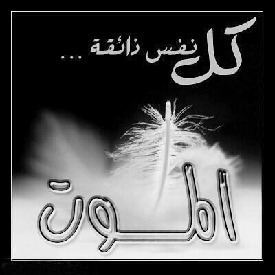 AliGh46 tweet picture