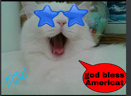 loreleibrooks's tweet photo. Happy 4th of July! http://t.co/DutDciUiLI