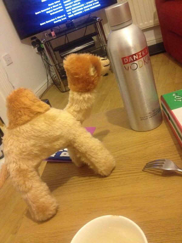 meg_freestone's tweet image. wild night for our camel pal. #HumphreyOnTour