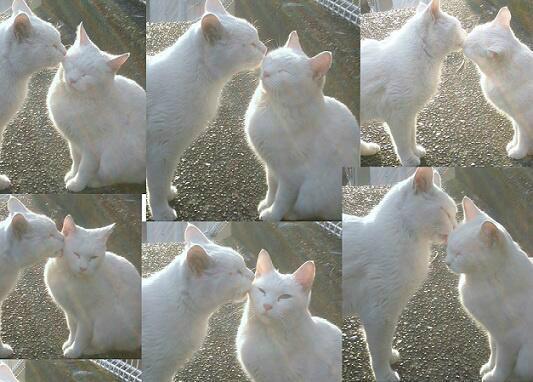 長いキスでした♡