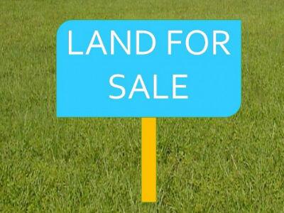propertydiBdg's tweet photo. Jual Lahan Industri di Batujajar
http://t.co/9NyQpMO4KN http://t.co/3WJWdQPMEw