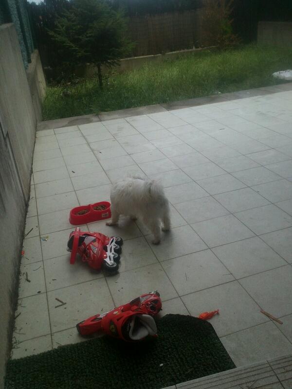 hegoiespin's tweet photo. Q vida mas dura ncerrado n l balcon y @davidapuko. No m abre......# dolor d cabeza insoportableeeeeee http://t.co/1qqBNvi8fs