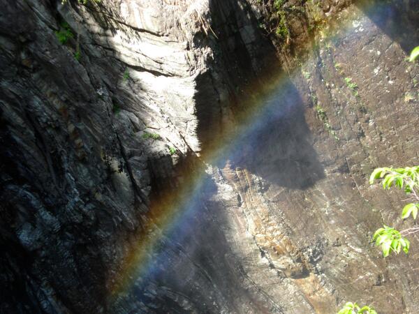 BlueAlpineLotus's tweet image. 