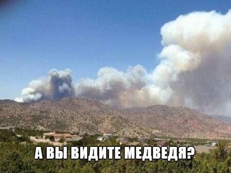 ШУТКА 28
Медведик!!!