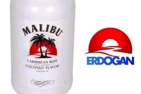 Lan adamlar cumhurbaşkanı seçimi için kullandıkları logoda bile ağaç kesmişler agshsjjskdşakajshkaka