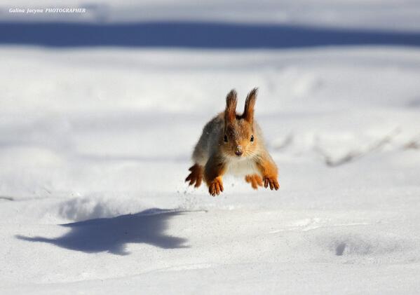 500px's tweet photo. "Last Jerk" by Galina Jacyna: http://t.co/AZ4wpZZCTl via @500px #photography http://t.co/SVTy0EvjZW