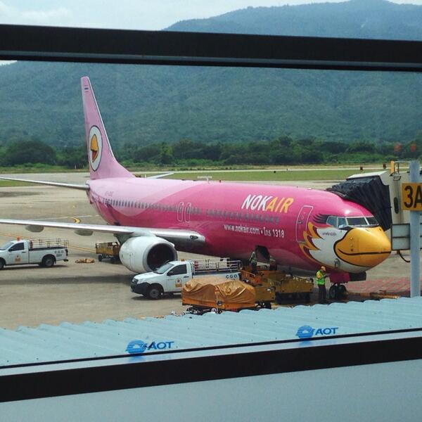 n49th's tweet photo. #friendlybirds http://t.co/Z6StzMgFyk