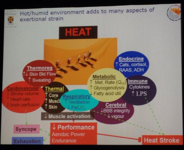 DrJPeriard's tweet photo. The many potential influences of heat on ultra-endurance sports. Great talk by Jim Cotter #ECSS2014 http://t.co/9fY2NY6aJu