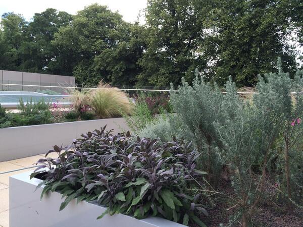 Europlanters tweet picture