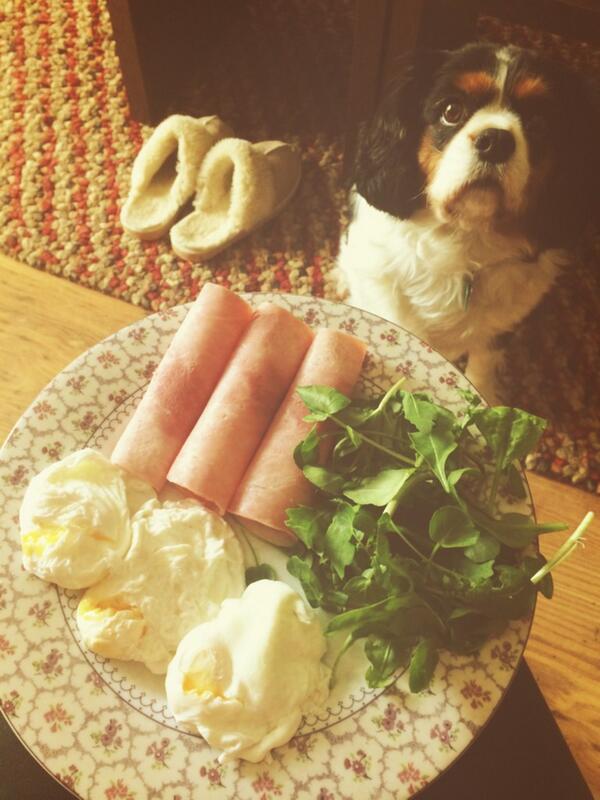 salicoops21's tweet photo. Gym done  ✔️ now breakfast 👌 spinach, rocket ham and eggs plus a hungry pup.... 🐷💜 http://t.co/yfHV3LlwQQ